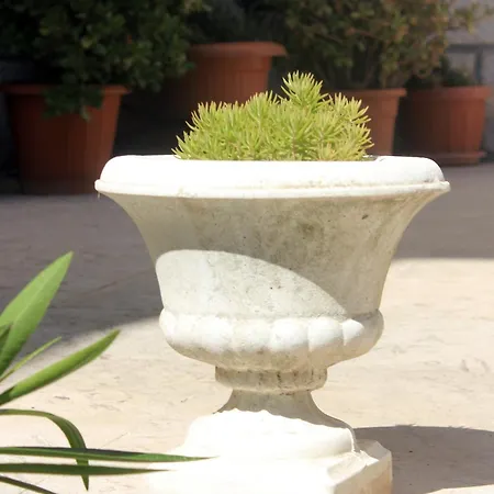 With A Swimming Pool Cavtat, Dubrovnik - 5222 Guest house