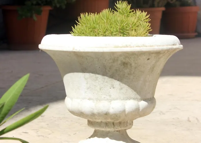 With A Swimming Pool Cavtat, Dubrovnik - 5222 Affittacamere